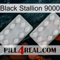 Black Stallion 9000 17